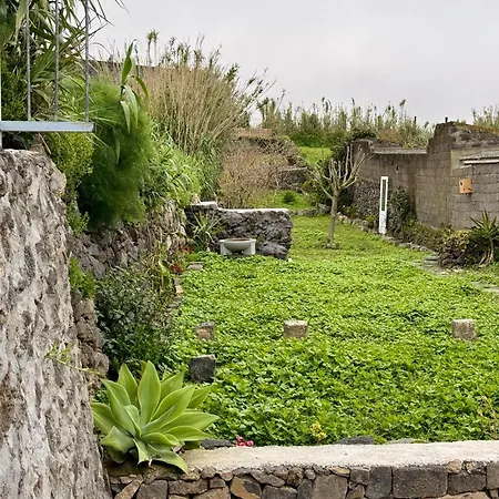 Corujeira Azores Relva (Azores)