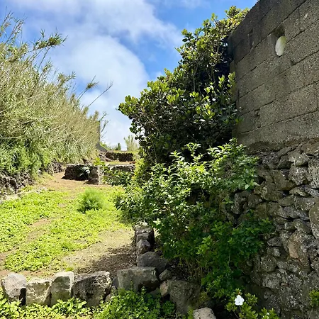Corujeira Azores Feriehus Relva (Azores)